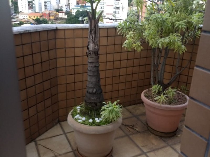 Cobertura à venda Nova Granada com 240m² e 5 quartos por R$ 950.000 - 105726664-11.jpeg