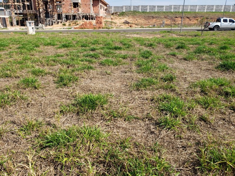 Terreno à venda Petrópolis com 600m² e  quartos por R$ 270.000 - 511437506-whatsapp-image-2021-01-08-at-09.jpeg