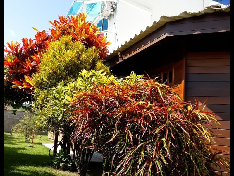 Casa à venda Bombas com 190m² e 5 quartos por R$ 750.000 - 2094195455-913d9871-8309-4691-ba14-8f14aab849a9.jpg