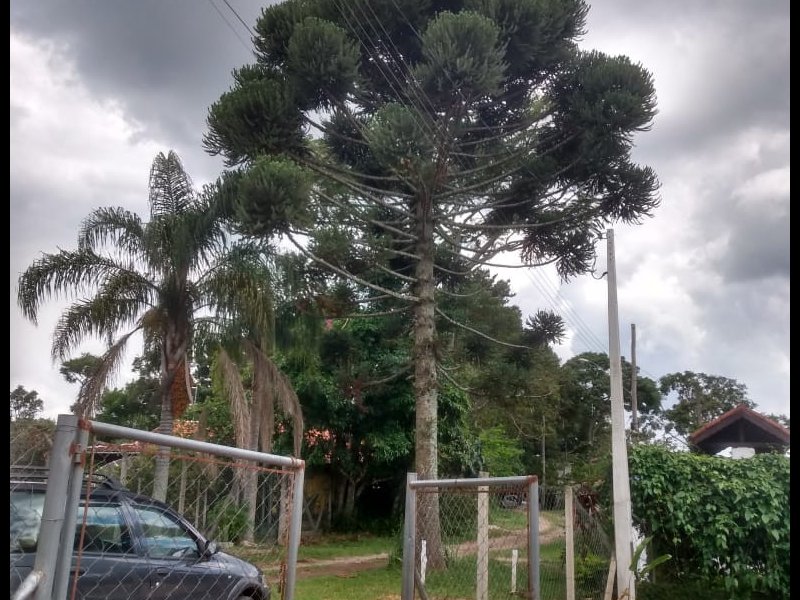 imóvel com 1000m² - Portão - Atibaia