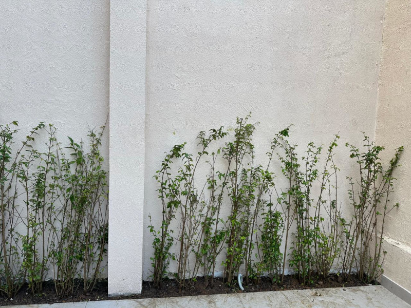 imóvel com 150m² - Santana - São Paulo