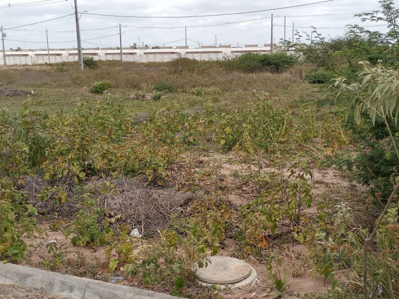 Terreno à venda Sim com 140m² e  quartos por R$ 65.000 - 1028460876-20210110-111220.jpg