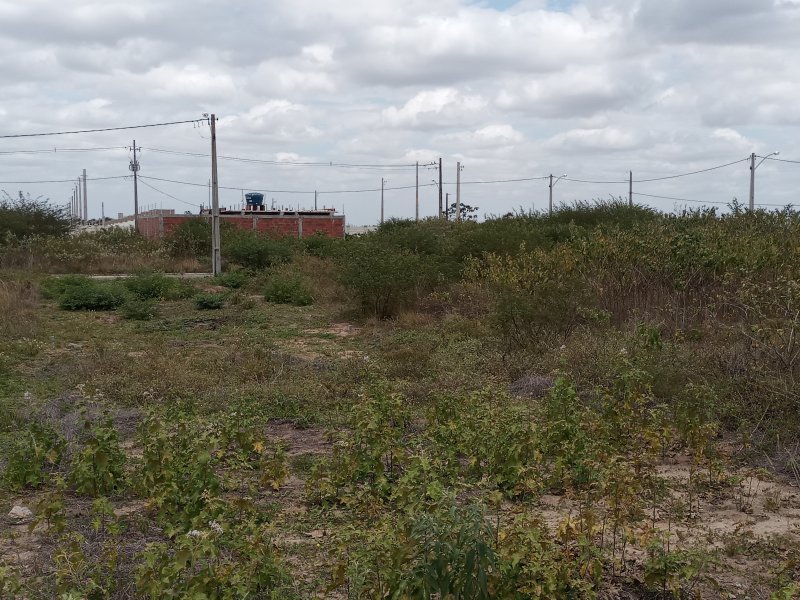 Terreno à venda Sim com 140m² e  quartos por R$ 65.000 - 1617719897-20210110-111304.jpg