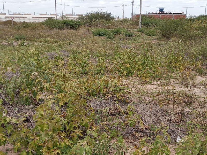 Terreno à venda Sim com 140m² e  quartos por R$ 65.000 - 2108468151-20210110-111126.jpg