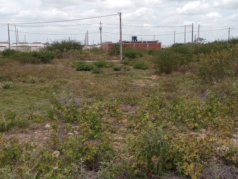 Terreno à venda Sim com 140m² e  quartos por R$ 65.000 - 644010954-20210110-111317.jpg