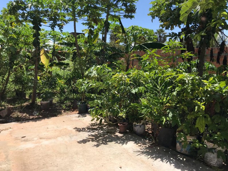 Terreno à venda São Judas Tadeu com 406m² e  quartos por R$ 150.000 - 472029503-7bde2bef-87c3-4ce6-8516-c4fa06b2be06.jpeg