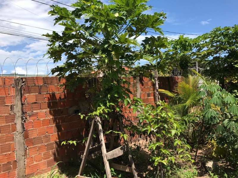 Terreno à venda São Judas Tadeu com 406m² e  quartos por R$ 150.000 - 716389106-9a80627a-cc30-44d2-906e-6d3346323d4a.jpeg