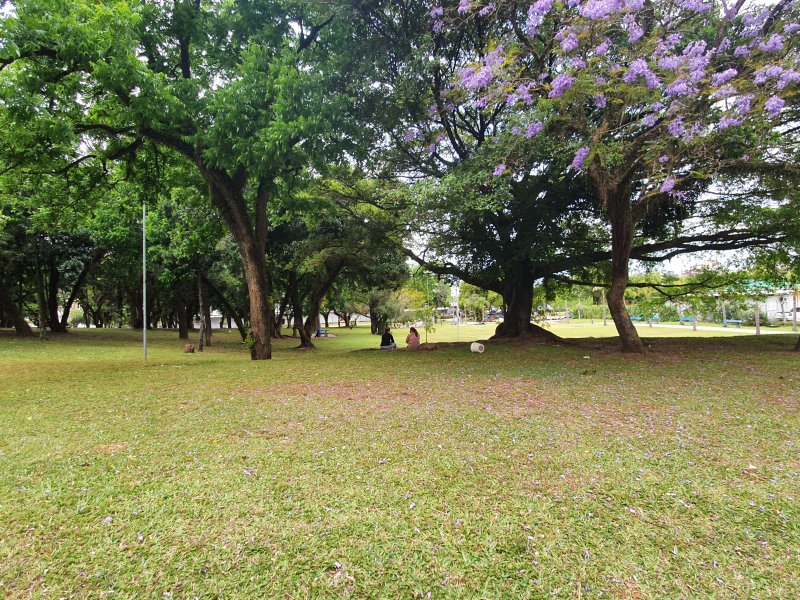 Apartamento à venda Jardim Lindoia com 67m² e 3 quartos por R$ 608.000 - 1699809951-20201108-155502.jpg