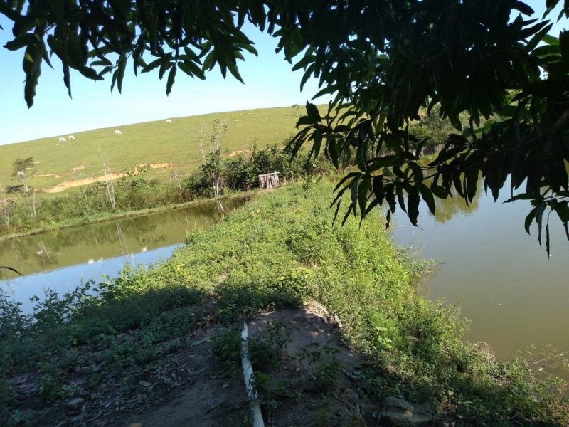 Chácara à venda Rocha Leão com 5000m² e 4 quartos por R$ 850.000 - 1752041163-2abfde72-7639-4bb6-a8dc-cb72750feb7b.jpg
