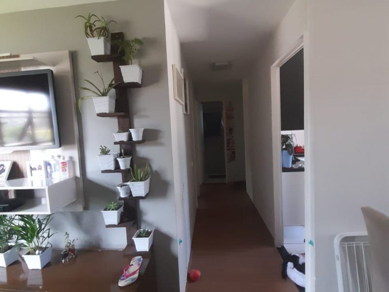 Apartamento à venda Jardim Arpoador com 61m² e 2 quartos por R$ 200.000 - 532526893-img-20210104-wa0037.jpg