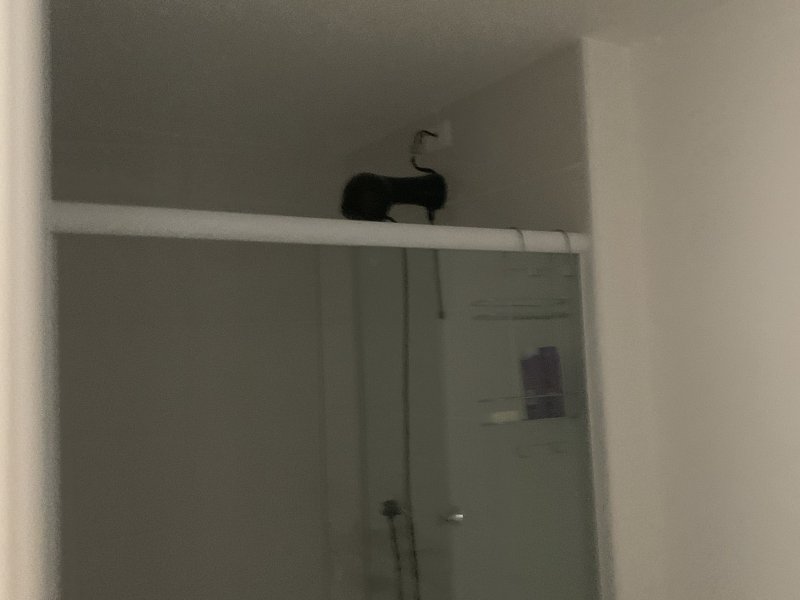 Apartamento à venda Ribeirânia com 37m² e 1 quarto por R$ 300.000 - 1462526313-7d55f6fd-523e-41bf-89d1-9eec8f80891c.jpeg