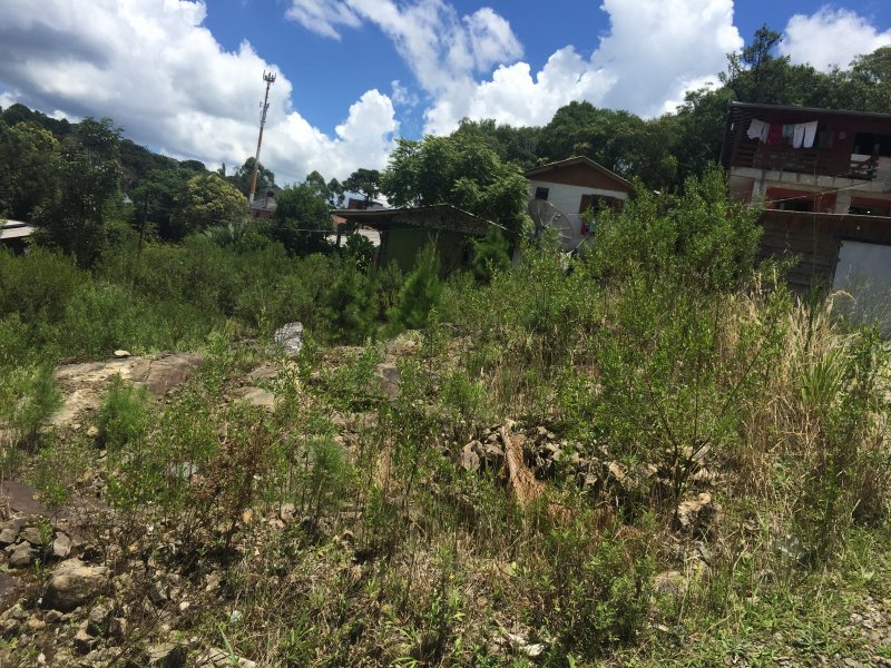 Terreno à venda Vila Moura com 806m² e  quartos por R$ 700.000 - 1341551463-9c39833c-dfc5-461e-bd8e-60e93883e9a3.jpeg