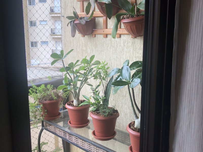 imóvel com 85m² - Vila Georgina - Indaiatuba