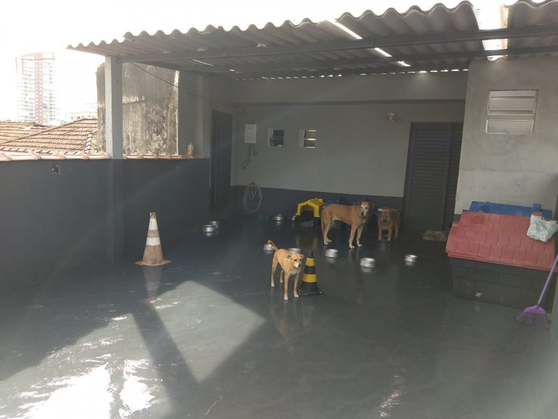 Casa à venda Vila Isolina Mazzei com 160m² e 3 quartos por R$ 770.000 - 422689646-img-20191023-wa0114.jpg