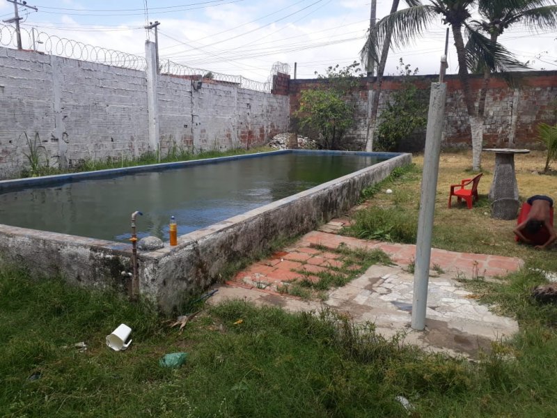 Sítio à venda Parque Leblon com 66m² e 6 quartos por R$ 280 - 606171018-d4766025-dff9-4b2f-bac4-73bd27f8f653.jpeg
