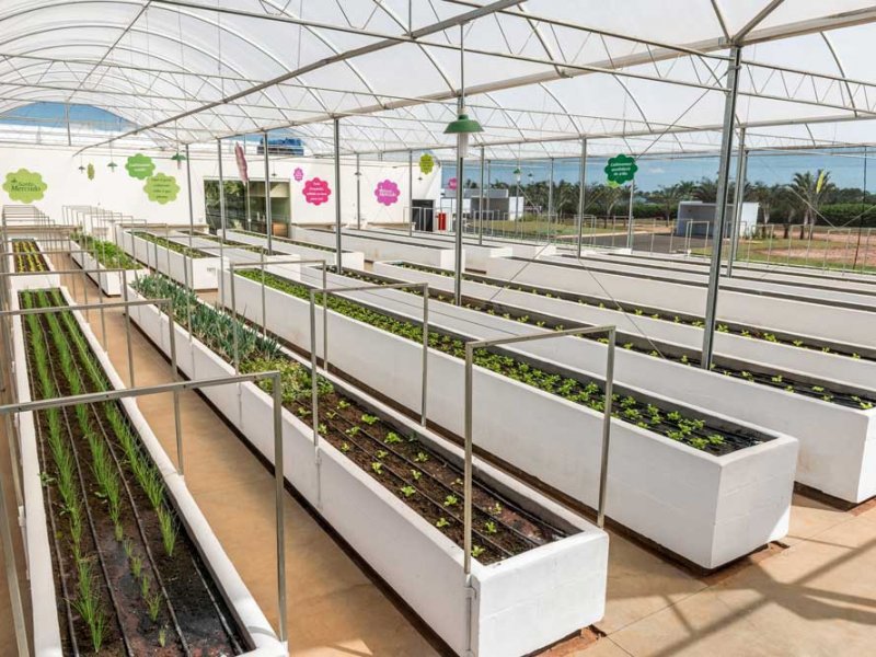 Terreno à venda Estância Hidromineral de Águas de Santa com 1m² e  quartos por R$ 45.000 - 506345708-23ae7792d9721e68d7e2ca97ca7f11af.jpg