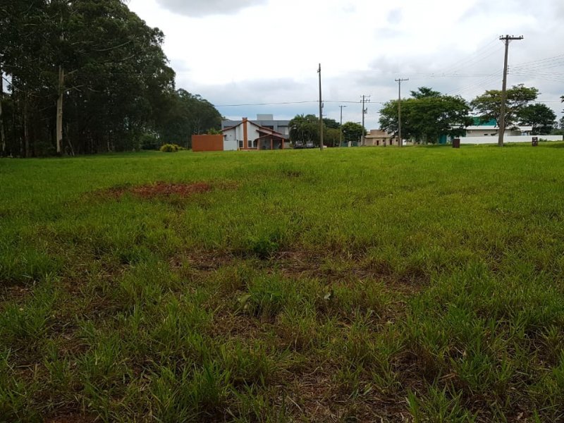 Terreno à venda Estância Hidromineral de Águas de Santa com 1m² e  quartos por R$ 45.000 - 512683373-whatsapp-image-2021-01-17-at-17.jpeg