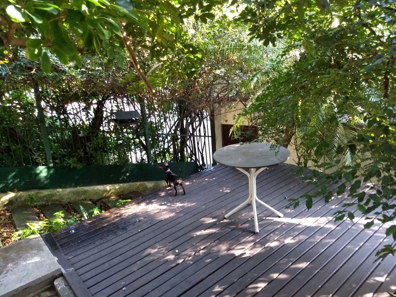 Casa à venda Jardim Guanabara com 250m² e 3 quartos por R$ 980.000 - 797984631-deck.jpg