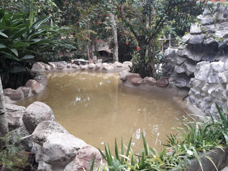 Chácara à venda Bom Destino com 5200m² e 6 quartos por R$ 1.600.000 - 1005028024-whatsapp-image-2021-01-14-at-18.jpeg