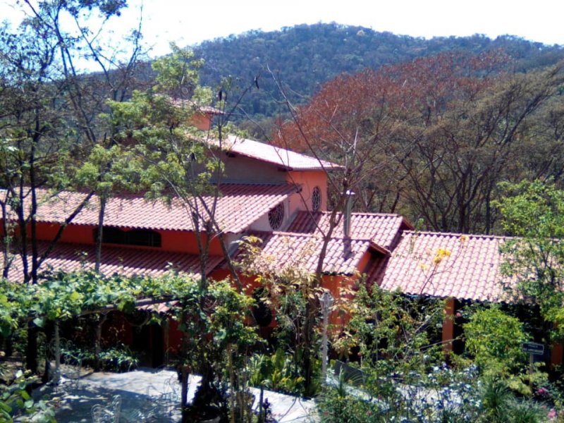 Chácara à venda Bom Destino com 5200m² e 6 quartos por R$ 1.600.000 - 1971488460-whatsapp-image-2021-01-14-at-18.jpeg