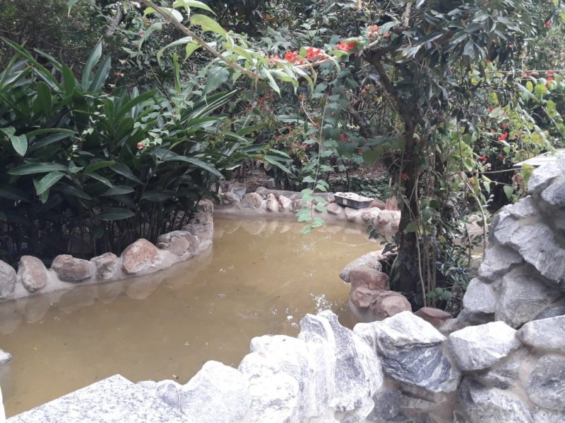 Chácara à venda Bom Destino com 5200m² e 6 quartos por R$ 1.600.000 - 446548593-whatsapp-image-2021-01-14-at-18.jpeg