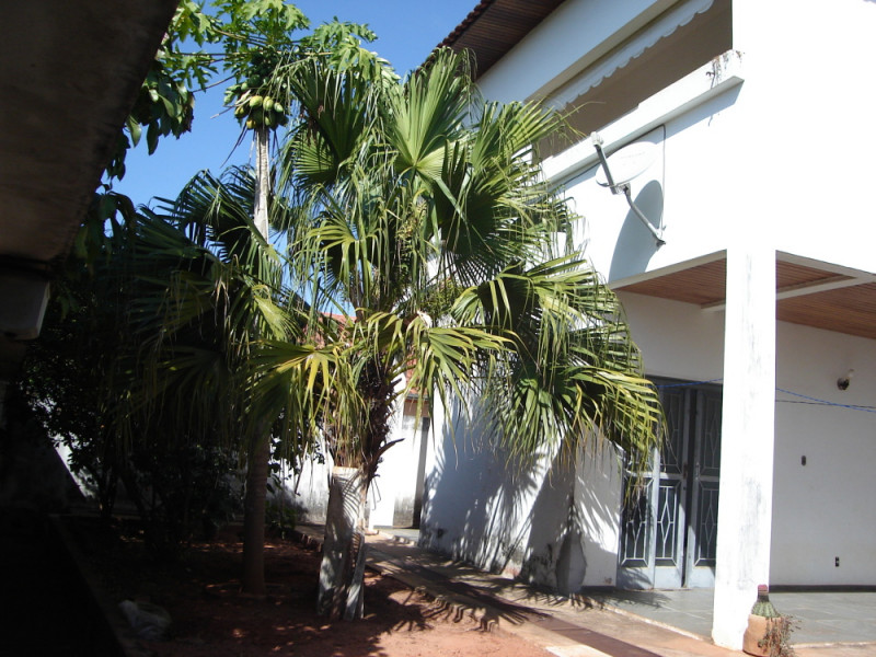 Casa à venda Jardim Nova Europa com 400m² e 5 quartos por R$ 900.000 - 311565613-dsc00075.jpg
