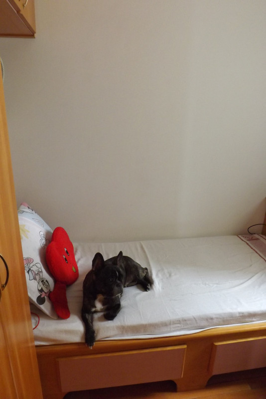 Apartamento à venda Vila Regente Feijó com 74m² e 3 quartos por R$ 820.000 - 1871485298-dscf3733.JPG