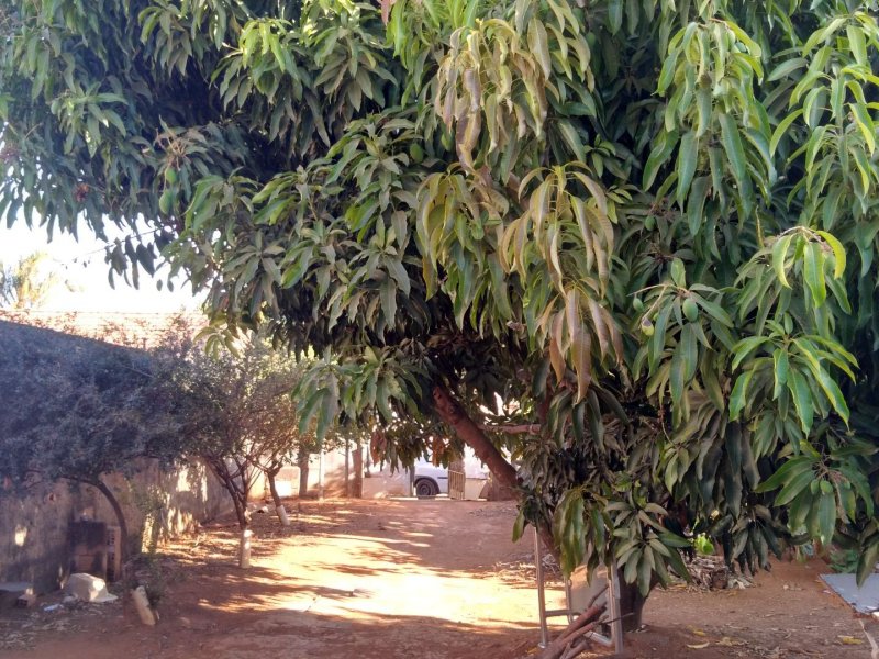 Terreno à venda Parque Nova Friburgo B com 360m² e  quartos por R$ 75.000 - 1318500478-42a2c5fd-e4d7-4520-a752-8e2319acba56.jpg