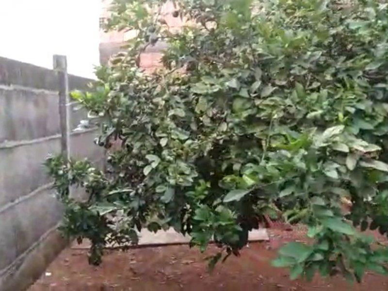 Terreno à venda Parque Nova Friburgo B com 360m² e  quartos por R$ 75.000 - 48634470-86799bab-3c7a-41e0-aa10-018177ad48ed.jpg