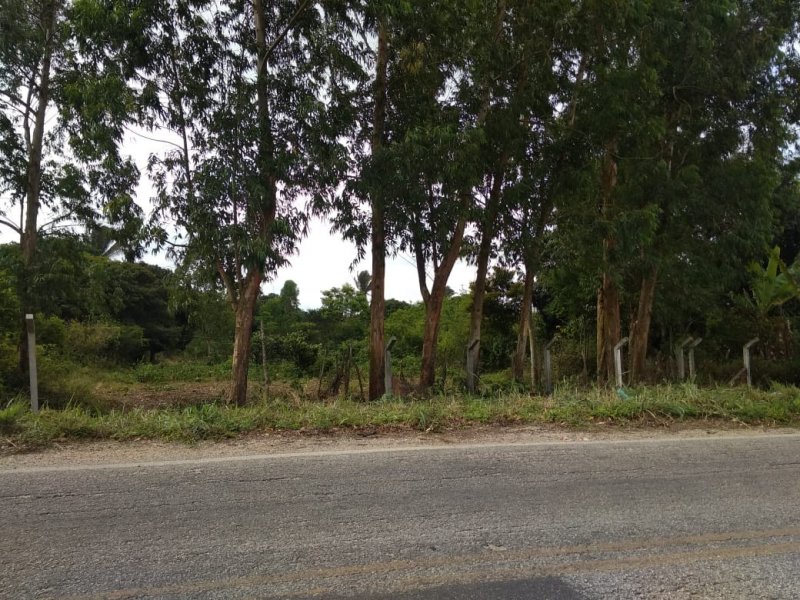 Terreno à venda Camargos com 18m² e  quartos por R$ 70 - 1299931069-22ba1417-e04f-44d1-8b59-d47b606238ba.jpeg
