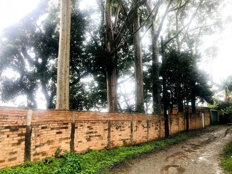 imóvel com 980m² - Vila Irmãos Arnoni - São Paulo