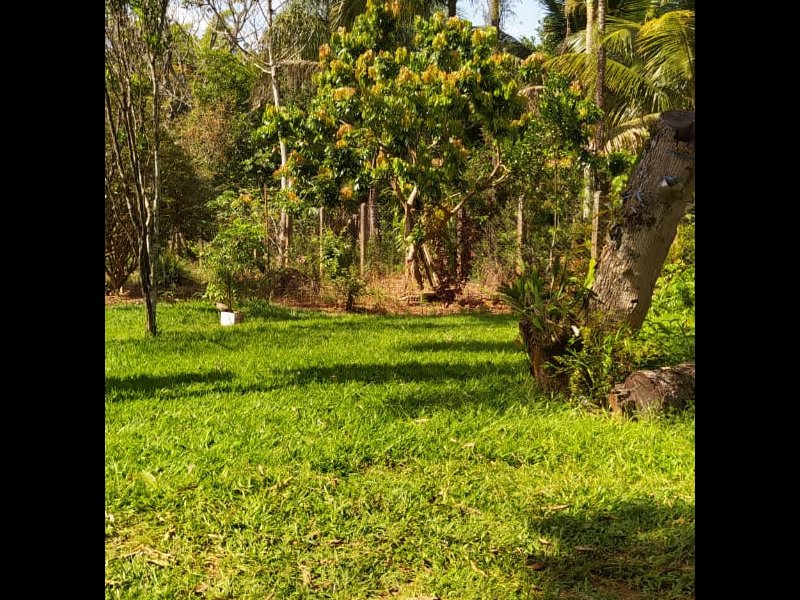 Chácara à venda Chácara  com 6312m² e 5 quartos por R$ 450.000 - 328363837-aa6417db-4de9-4e8a-a754-98755c843cca.jpeg