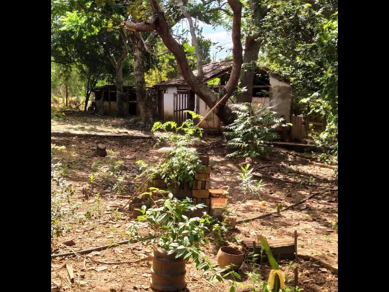 Chácara à venda Chácara  com 6312m² e 5 quartos por R$ 450.000 - 394231137-c87a91e7-71fa-4795-9750-4eed66fab1be.jpeg