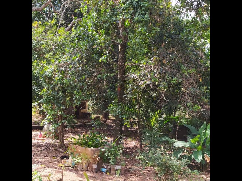 Chácara à venda Chácara  com 6312m² e 5 quartos por R$ 450.000 - 570211362-9f414960-350c-4436-bed2-b6caf84d7f68.jpeg