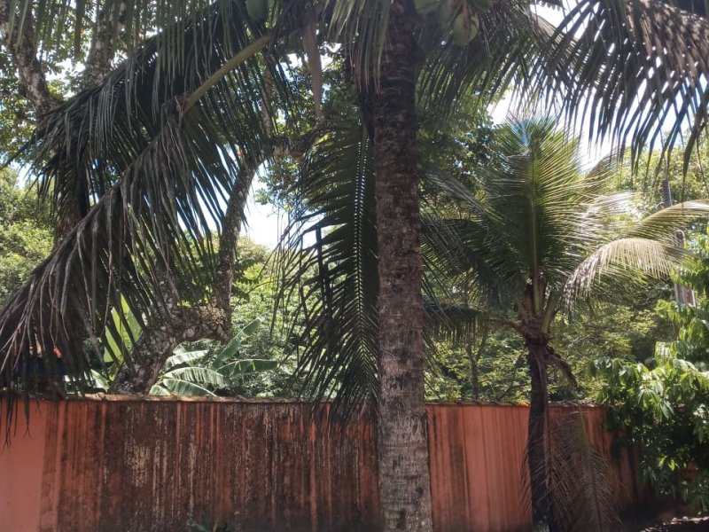 Casa à venda Toca do Bugio com 540m² e 3 quartos por R$ 350.000 - 1640354122-e9d68c32-a72b-4bd7-b82b-8a0113e6b44f.jpeg