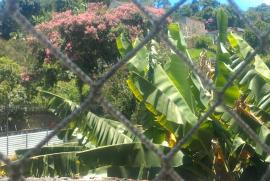 Apartamento à venda Tijuca com 55m² - 2 dormitórios -  vagas - R$ 250.000 - 1253057073-img-20210127-114414048-mp.jpg