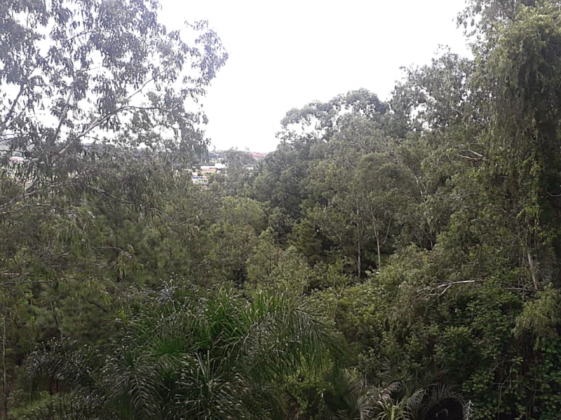 Apartamento à venda Scharlau com 51m² e 2 quartos por R$ 212.000 - 1598391580-11.png