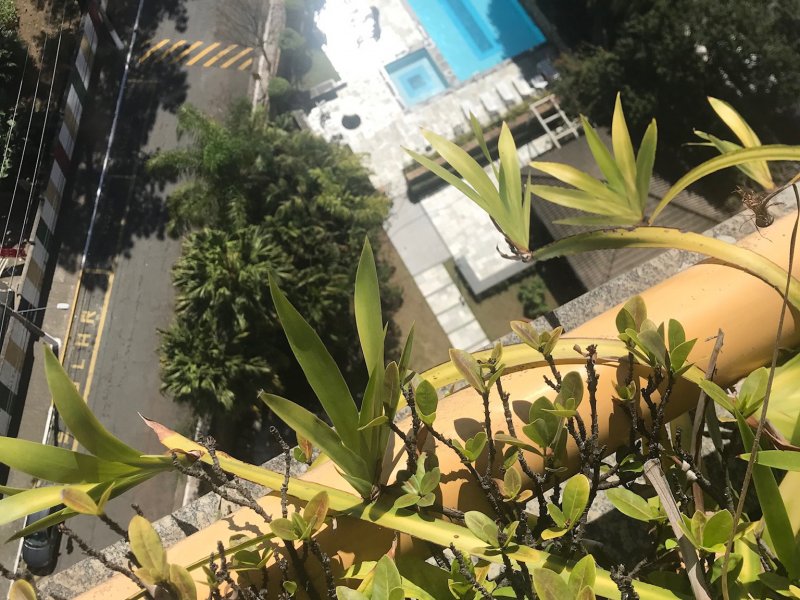 Apartamento à venda Jardim Avelino com 250m² e 4 quartos por R$ 1.150.000 - 2105582998-38d5ddff-7219-495a-b428-5c1464e71ad6.jpeg