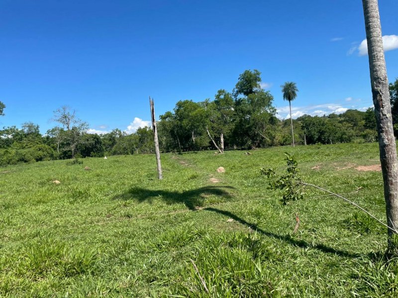 Fazenda à venda Amambaí com 1800m² e 4 quartos por R$ 20.000 - 1190149194-img-20210117-wa0025.jpg