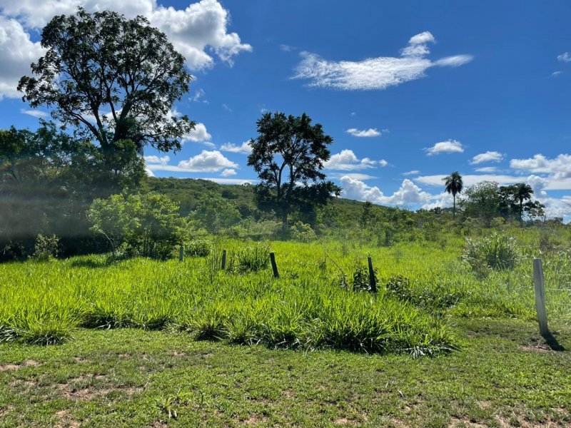 Fazenda à venda Amambaí com 1800m² e 4 quartos por R$ 20.000 - 1622570058-img-20210117-wa0021.jpg