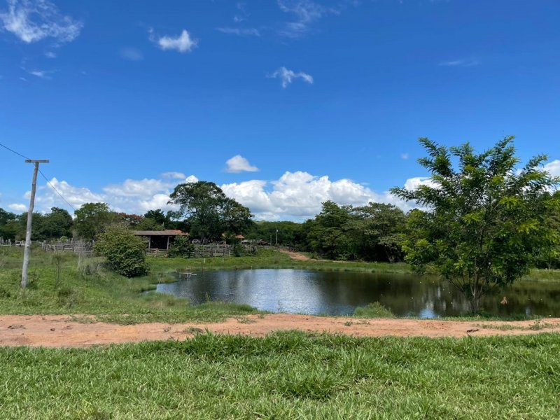 Fazenda à venda Amambaí com 1800m² e 4 quartos por R$ 20.000 - 1792079805-img-20210117-wa0032.jpg