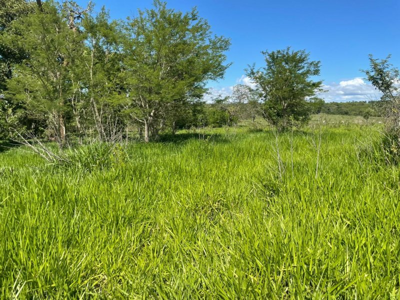 Fazenda à venda Amambaí com 1800m² e 4 quartos por R$ 20.000 - 1797416165-img-20210117-wa0039.jpg