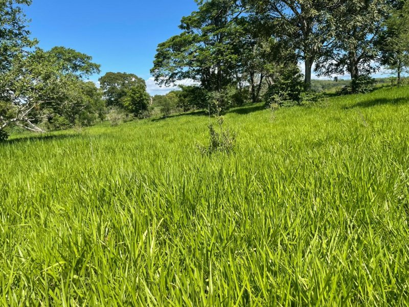 Fazenda à venda Amambaí com 1800m² e 4 quartos por R$ 20.000 - 2067385764-img-20210117-wa0026.jpg