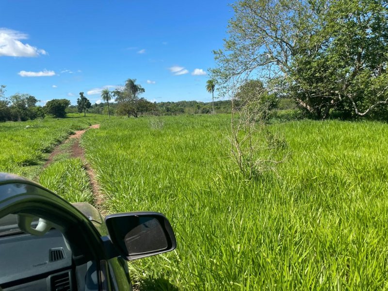 Fazenda à venda Amambaí com 1800m² e 4 quartos por R$ 20.000 - 416554645-img-20210117-wa0036.jpg