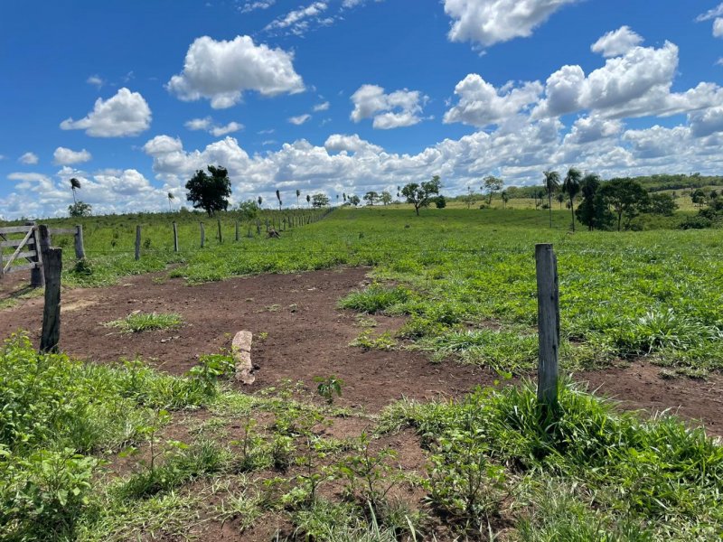 Fazenda à venda Amambaí com 1800m² e 4 quartos por R$ 20.000 - 488815223-img-20210117-wa0024.jpg