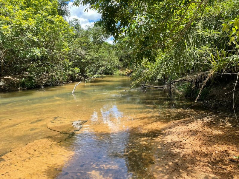 Fazenda à venda Amambaí com 1800m² e 4 quartos por R$ 20.000 - 584359485-img-20210117-wa0018.jpg