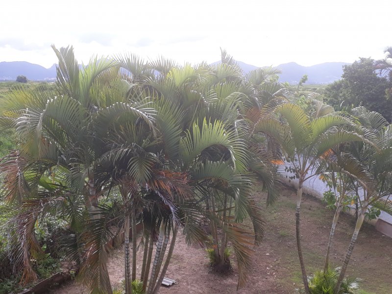 Casa à venda Vargem Pequena com 350m² e 3 quartos por R$ 420.000 - 2012045785-20210108-162658.jpg