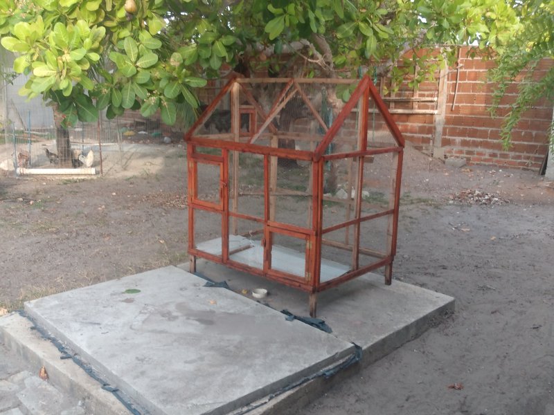 Chácara à venda Planta de Lucena com 750m² e 3 quartos por R$ 200.000 - 474120970-img-20210121-164816573.jpg