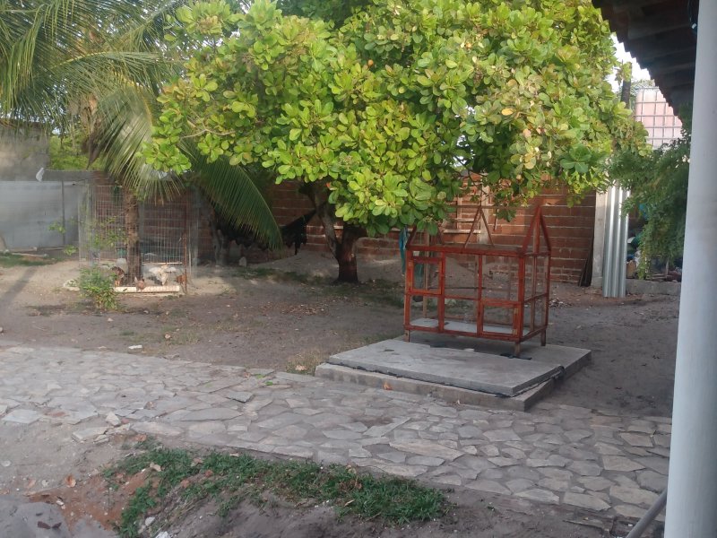 Chácara à venda Planta de Lucena com 750m² e 3 quartos por R$ 200.000 - 608222352-img-20210121-164751789.jpg