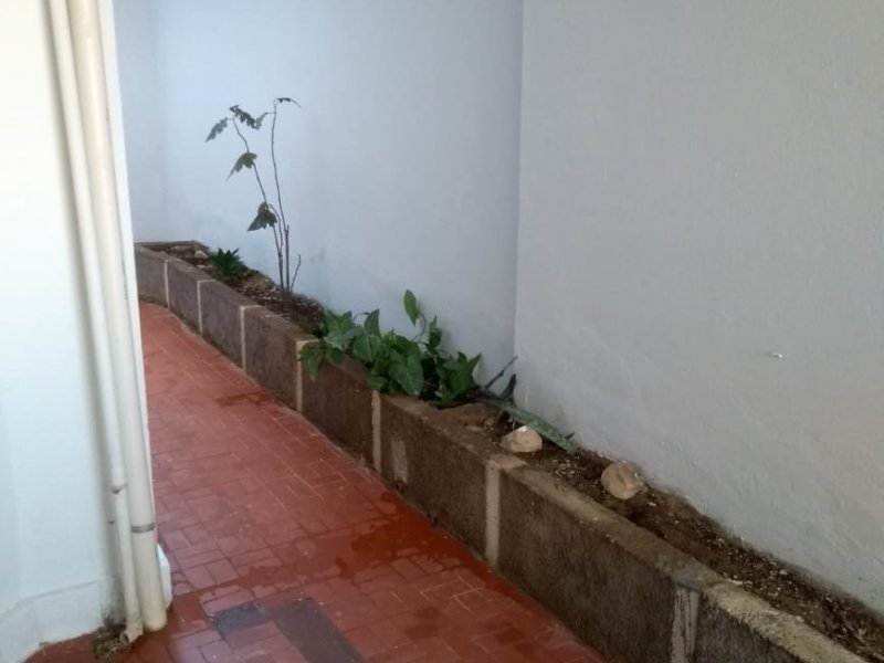 Apartamento à venda Floresta com 88m² e 3 quartos por R$ 340.000 - 1152443648-whatsapp-image-2020-09-09-at-22.jpeg